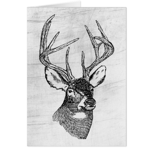 BIG BUCK CARDS (Front)