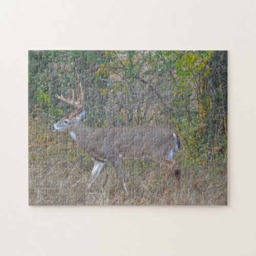 Big Buck Deer in Texas Wild Animal Puzzle