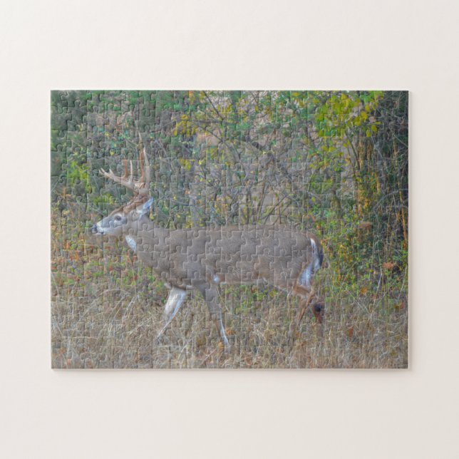 Big Buck Deer in Texas Wild Animal Puzzle (Horizontal)