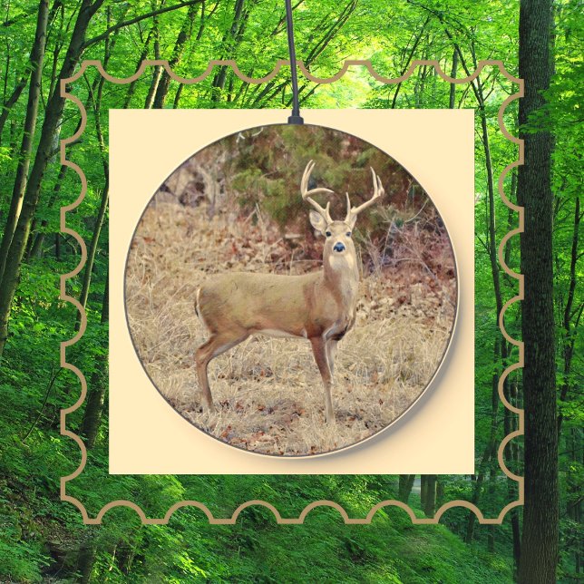 Big Buck Deer in the Wild Phone Charger (Creator Uploaded)