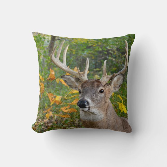 Big Buck Deer in Woods Throw Pillow (Front)