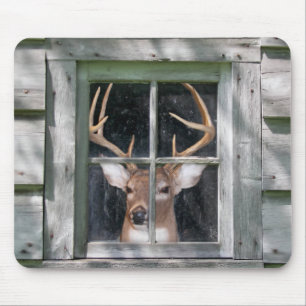 Big Buck in cabin window Mouse Pad