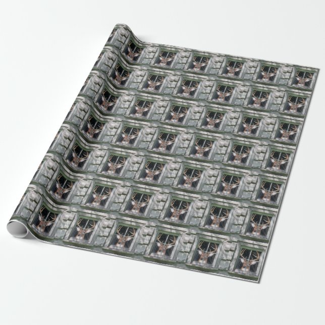 Big Buck in window Wrapping Paper (Unrolled)