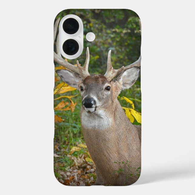 Big Buck In Woods Case-Mate iPhone Case (Back)