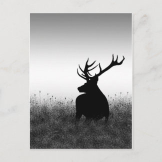 Big Buck Postcard
