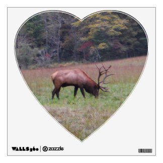 Big Bull Elk in the Autumn purple grass. Photo by Wall Decal