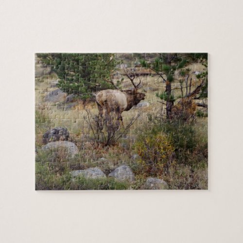 Big Bull Elk _ Puzzle