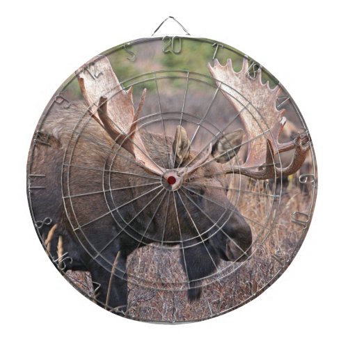 Big Bull Moose Dartboard