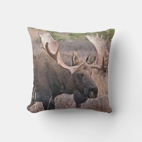 Big Bull Moose Throw Pillow