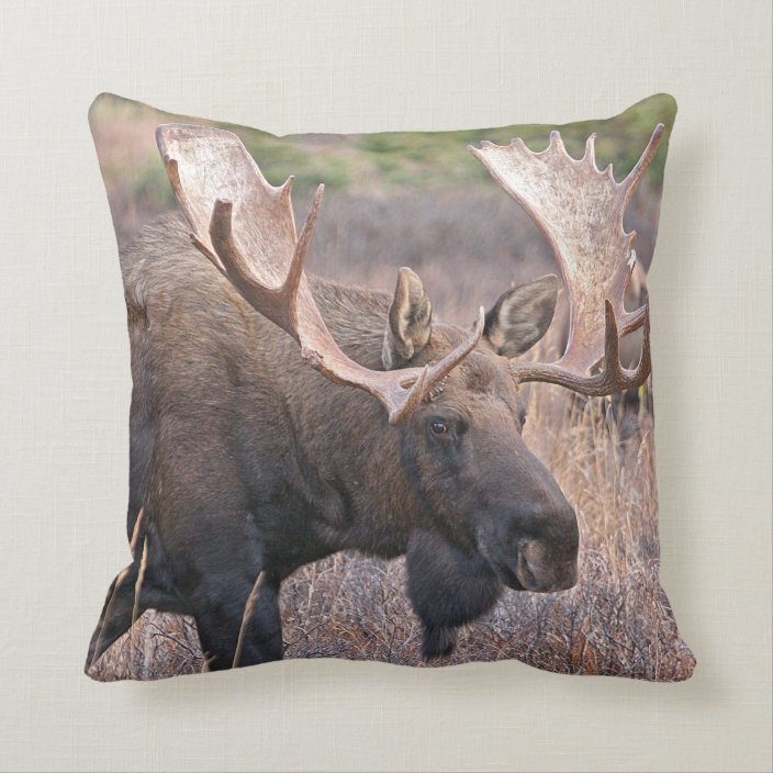 Big Bull Moose Throw Pillow | Zazzle.com