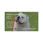 Big Bulldog Business Card