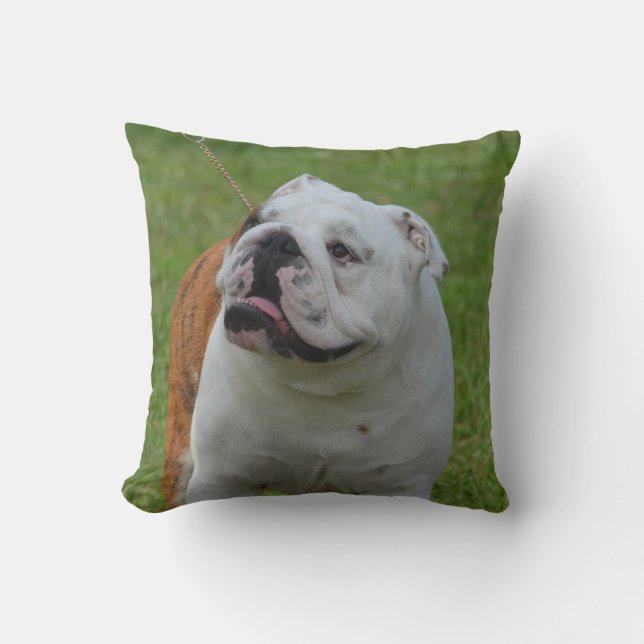 Big Bulldog Throw Pillow (Front)