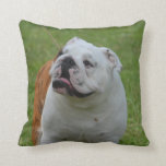 Big Bulldog Throw Pillow
