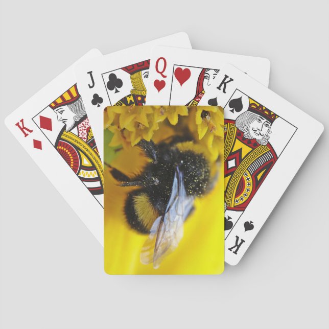 Big bumblebee poker cards (Back)