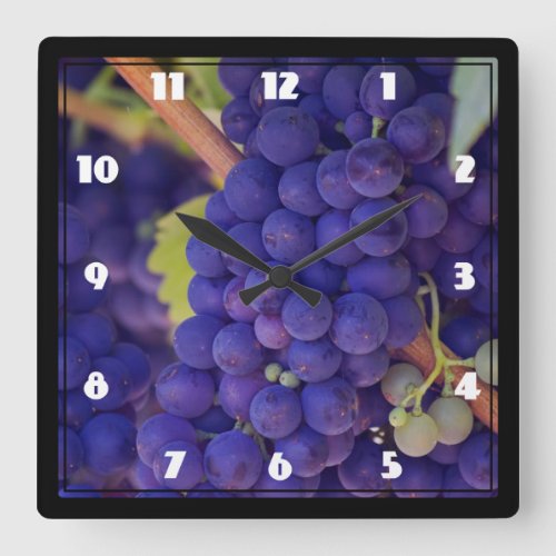 Big Bunch of Juicy Purple Grapes Square Wall Clock