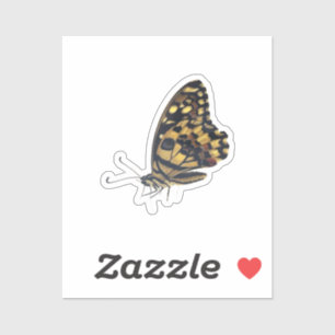 Big butterfly, vinyl sticker