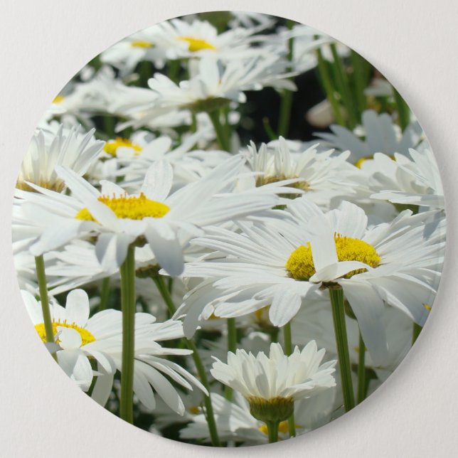 Big Button Happy White Daisy Flowers Daisies (Front)