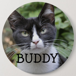 BIG BUTTON PET CAT CUSTOM