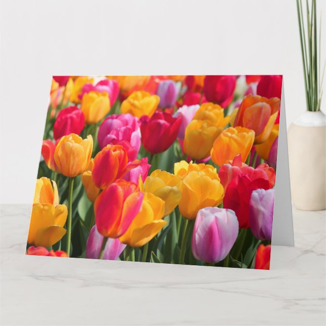 Big Card Spring at The Sunken Gardens1 2013 (Front)