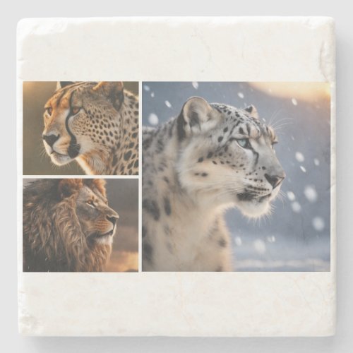Big cat african lion cheetah snow leopard animal stone coaster