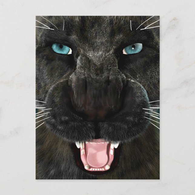 Big Cat Black Panther Postcard (Front)