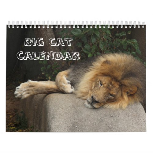 Big cat choose your year calendar