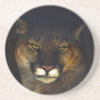 Big Cat Cougar Mountain Lion Art Design Drink Coaster by RavenSpiritPrints at Zazzle