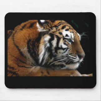Big Cat Mouse Pad