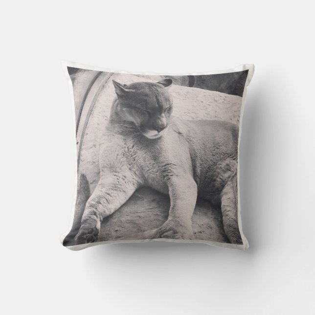 Big Cat Pillow (Front)