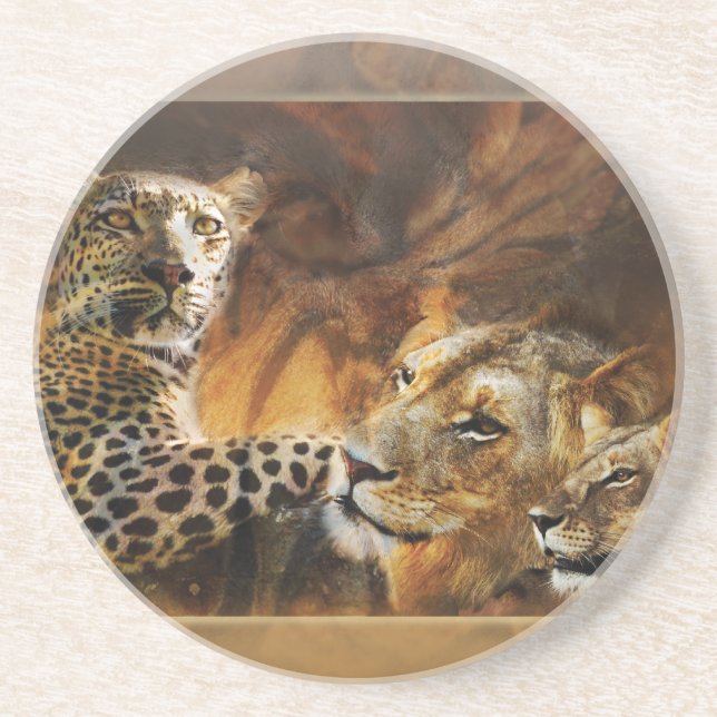 Big cat predator drinks sandstone coaster (Front)