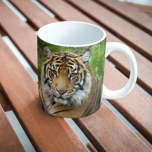 Big Cat Sumatran Tiger Photo Coffee Mug