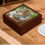 Big Cat Sumatran Tiger Photo Gift Box<br><div class="desc">Store trinkets,  jewelry and other small keepsakes in this wooden gift box with ceramic tile featuring the photo image of a big,  beautiful Sumatran Tiger,  an endangered wildlife species. Select your gift box size and color.</div>