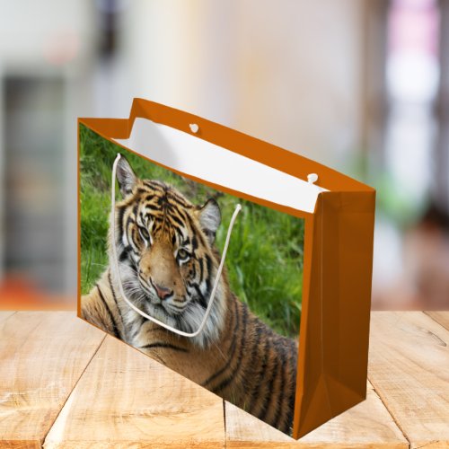 Big Cat Sumatran Tiger Photo Large Gift Bag