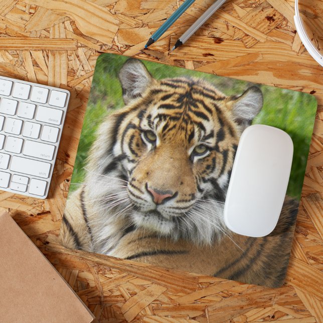 Big Cat Sumatran Tiger Photo Mouse Pad (In Situ)