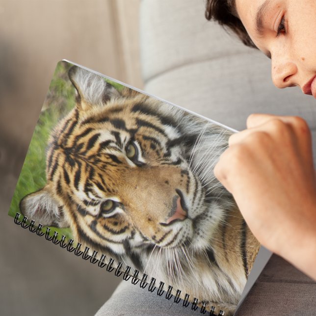 Big Cat Sumatran Tiger Photo Notebook (In Situ)