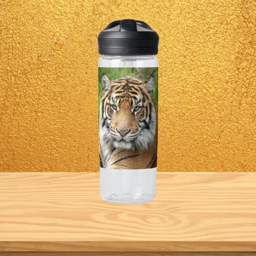 Big Cat Sumatran Tiger Photo Water Bottle
