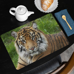 Bengals Placemat 