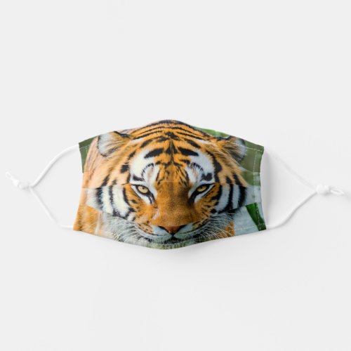 Big Cat Tiger Photo Adult Cloth Face Mask