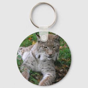 Big Cats - 11 Keychain