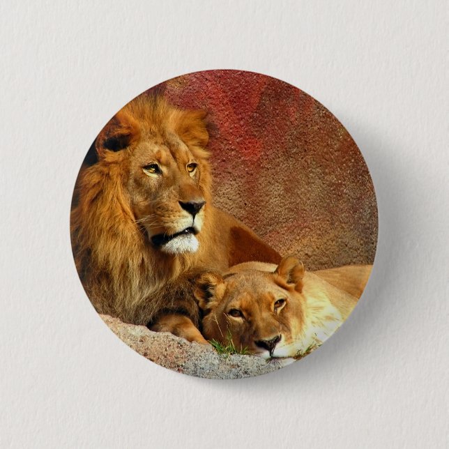 Big Cats - 6 Button (Front)