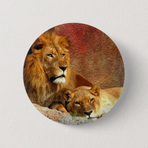 Big Cats - 6 Button