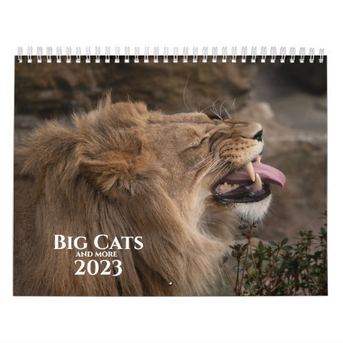 Big Cats and more 2023 Calendar