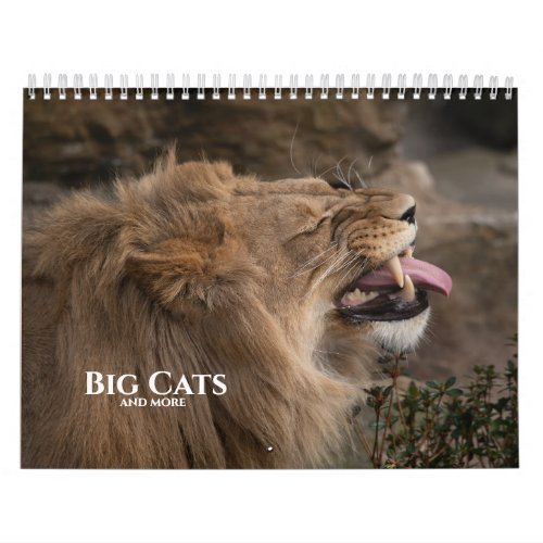 Big Cats And More Calendar
