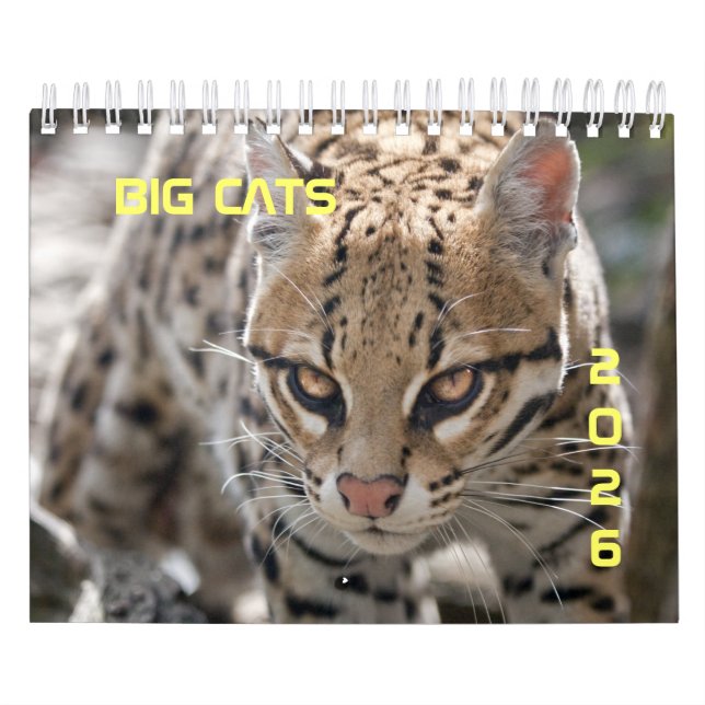 Big Cats Calendar (Cover)