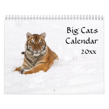 Big Cats Calendar by CarsonPhotography at Zazzle