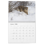 Big Cats Calendar | Zazzle