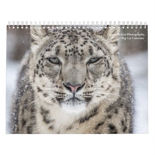 Big Cats Calendar | Zazzle.com