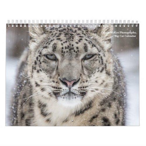 Big Cats Calendar