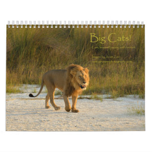 Big Cats! Lion, Leopard, Cheetah, Jaguar Calendar