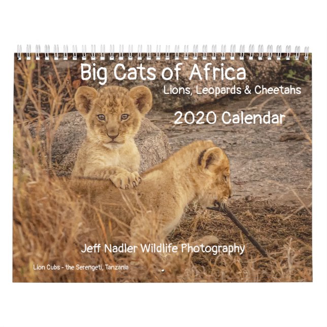 Big Cats of Africa: Lions, Leopards 2020 Calendar (Cover)